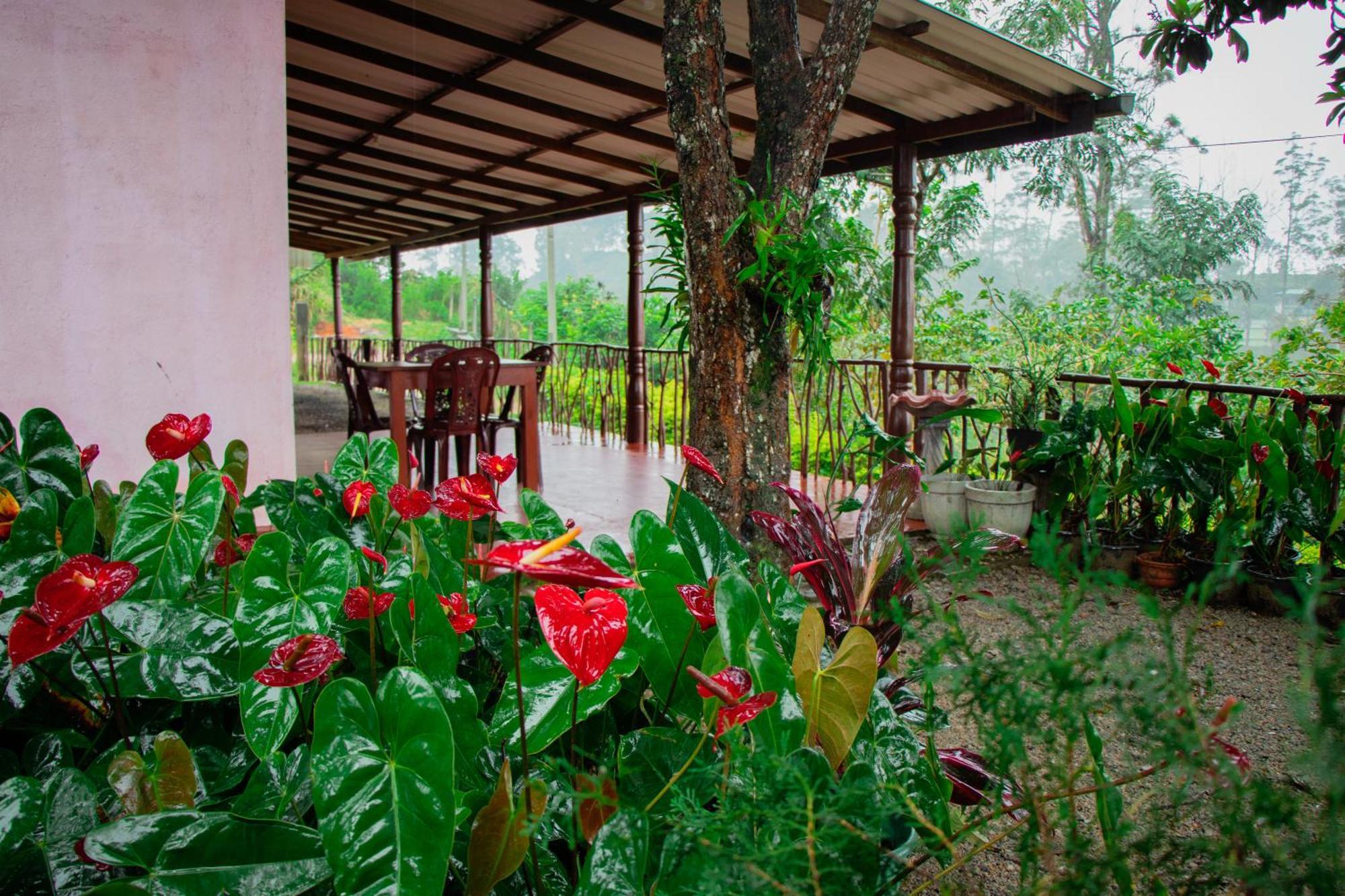 Nine Arch Homestay Ella Ngoại thất bức ảnh