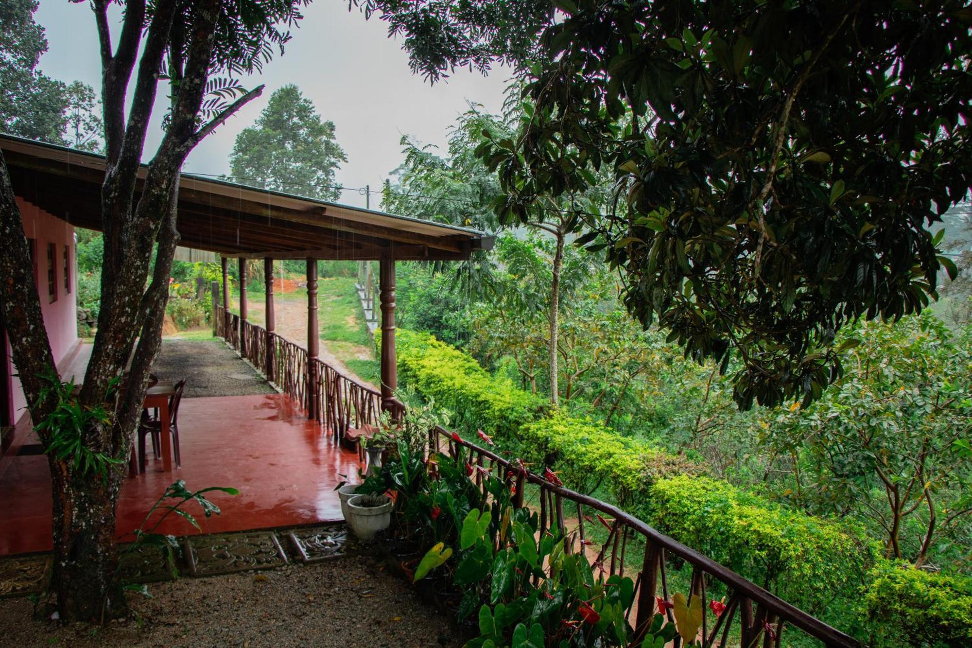 Nine Arch Homestay Ella Ngoại thất bức ảnh