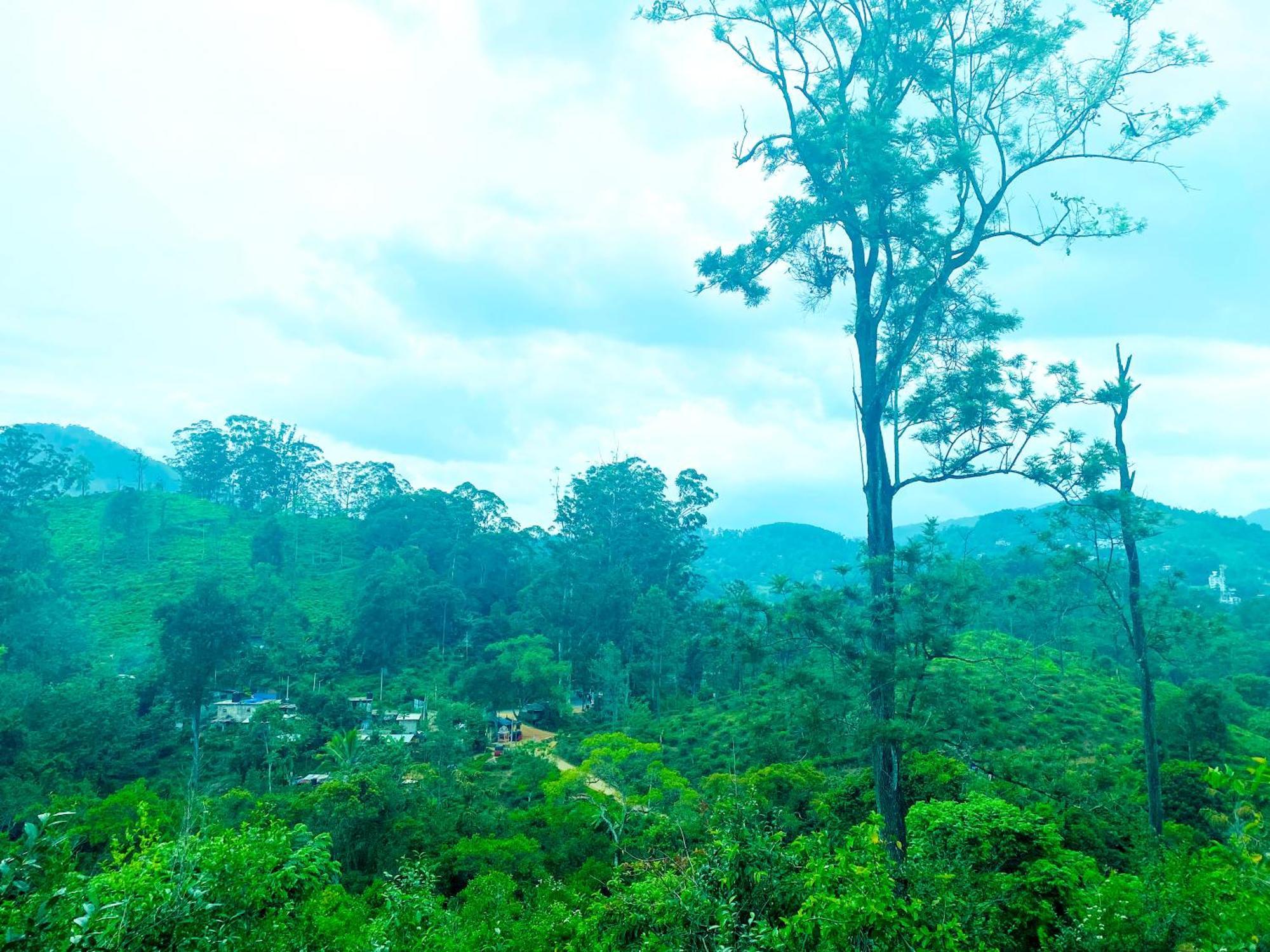 Nine Arch Homestay Ella Ngoại thất bức ảnh