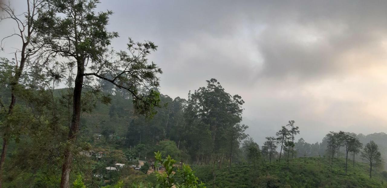 Nine Arch Homestay Ella Ngoại thất bức ảnh